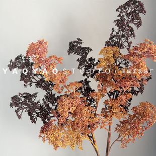 3�滨���� ��֦�ٻ��߼��Д[���͹Ų廨��ķ��������֦��ˇ�쾰