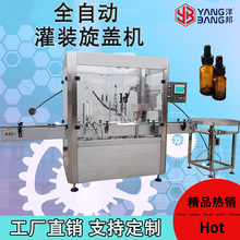 ȫԄСƿҺwbwһwC ͟͹bC