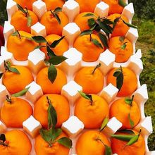 �Ĵ���Ҋ�ҰҸ̳�˹��������rˮ��������]���l��Ҏ��һ�����l�S