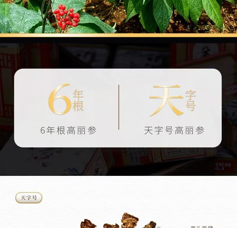 Korean Red Ginseng Whole Root Gao Li Shen Panax ginseng Steamed Dried Tonic Gift Tin 37.5g Single Root key features