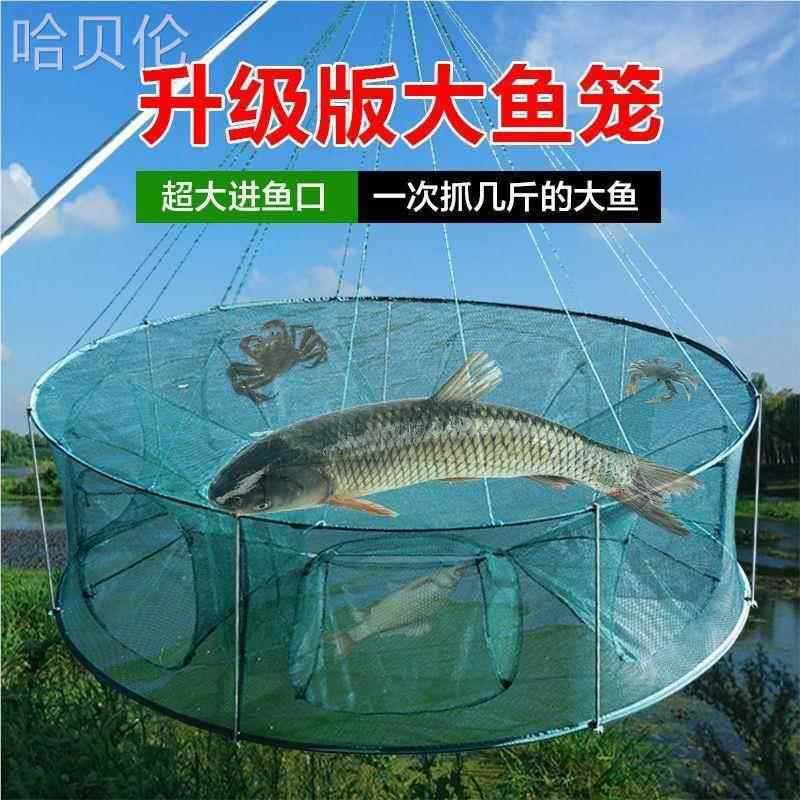 便携可折叠渔网虾笼黄鳝圆形捕鱼网龙虾网鱼笼捕大鱼网大号泥鳅