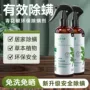 云南免洗孕婴本草青花椒