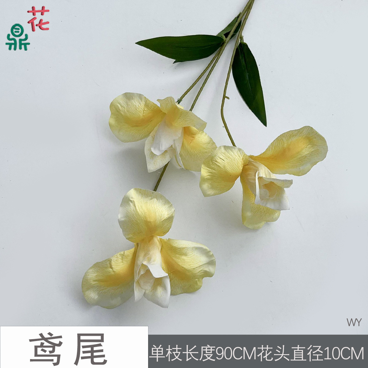 Iris WY màu vàng đậm