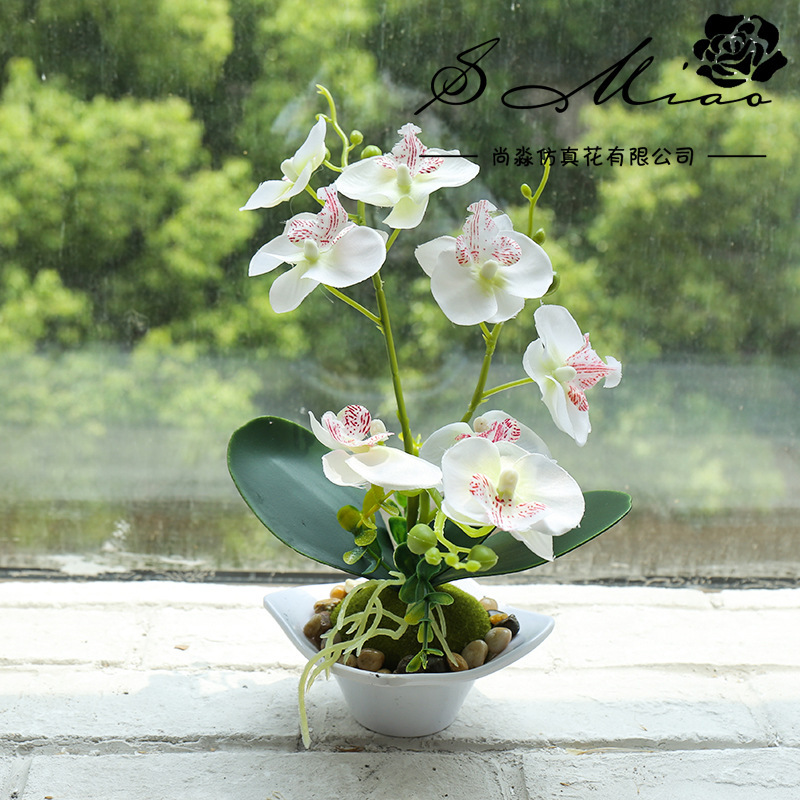 Nueva Phalaenopsis Bonsai de tres horquillas flor artificial decoración creativa Planta artificial suministro directo de fábrica de una sola pieza entrega image 9