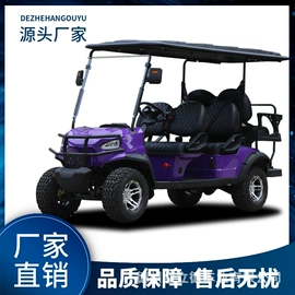 电动观光车;其他电动车;高尔夫车