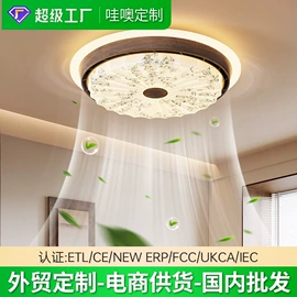 吸顶灯;吊灯;成套灯具