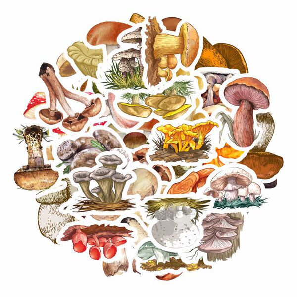 Cartoon stickers with clove mushrooms