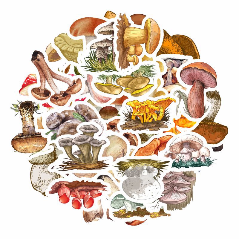Cartoon stickers with clove mushrooms