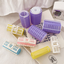 �՚™���lͲ2024�¿�ǰ�~�A���������̈́����l����̖�^�l���ɰl�A