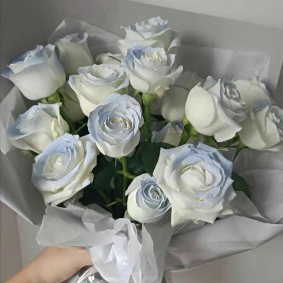 모칼리 문라이트 블루