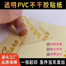 ��ˮ͸�������zLOGO�N������PVC����̘ˠC����S�a��ɫ�V��˺�