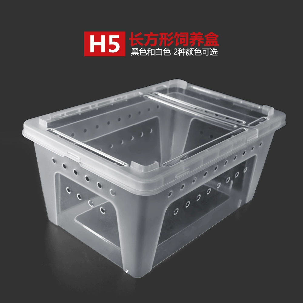 Nomo H5 ползающий питомец рептилия охранник ящерица рогатая лягушка геккон Шелкопряд ребенок Жук Насекомое ежедневная коробка для кормления своими руками