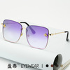 Fashionable sunglasses, 2023 collection, European style