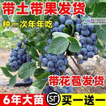 {ݮϷNֲԎļ۴W᠖{ݮ