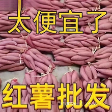 �������r�������ļt��9-10�﷬���r��ɳ�ؿ��ع�ɽ�������S��ܛŴ