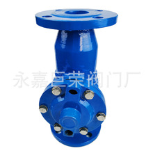 ֹDN50 DN80,DF41X-16QˮϸyT