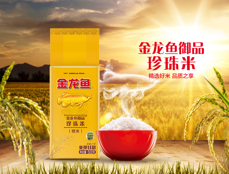 御品珍珠米500G电商文描_01