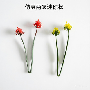 ��������~����ˮ�� 14cm����ɲ��� �~���bGֲ�辰���������