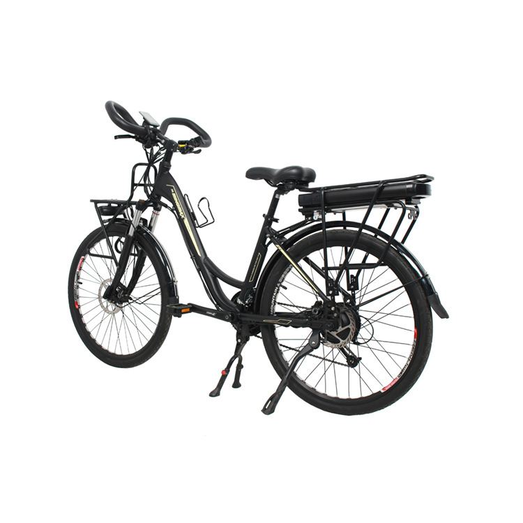 ebike8
