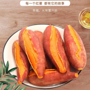 ����������������t�~�t��������߅ɳ�صعϴ��ʹּZ9���rˮ����