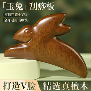 ����̴ľ������Ę���i�y��Ħ�Ὓ�j������ԺѨλ�B�������cѨ��
