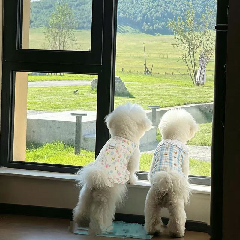 Pet Lightweight, Soft, Breathable Cotton Gauze Suspender Dress for Teddy, Bichon, Small Dogs, Dogs and Cats, Spring and Summer Clothes Pet Lightweight, Soft, Breathable Cotton Gauze Suspender Dress for Teddy, Bichon, Small Dogs, Dogs and Cats, Spring and Summer Clothes