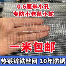热镀锌铁丝网电焊网小孔防鼠防蛇防锈网阳台窗户护栏网养殖鸡鸭兔