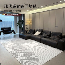 地毯客厅简约轻奢2026新款抗污免洗可擦沙发茶几毯房间床边地毯