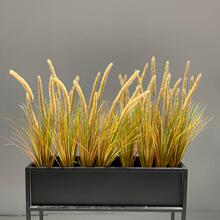 �߷��湷β�Ͳ��L֦�JȔ�ݼٲݾGֲ����滨��������Ѳݸ����b�