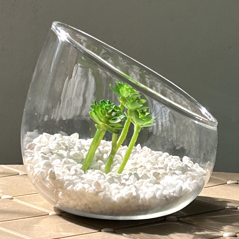 クリエイティブな透明な斜めガラス花瓶、苔、多肉植物マイクロランドスケープ DIY エコボトルデスクトップ水槽装飾品|undefined