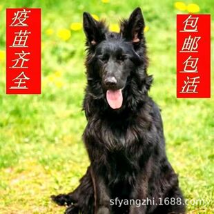 ������������Ȯ��Ȯ���w�����|�»��w��Ȯ���ﹷ�o�lȮ����&middot;