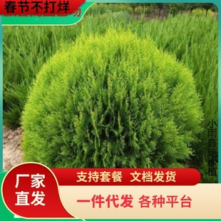 һ�����l�G����ľ���Ԟ���������S���С��ͥԺ�̨�辰�ؾGֲ