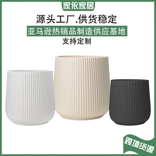 客厅阳台花卉