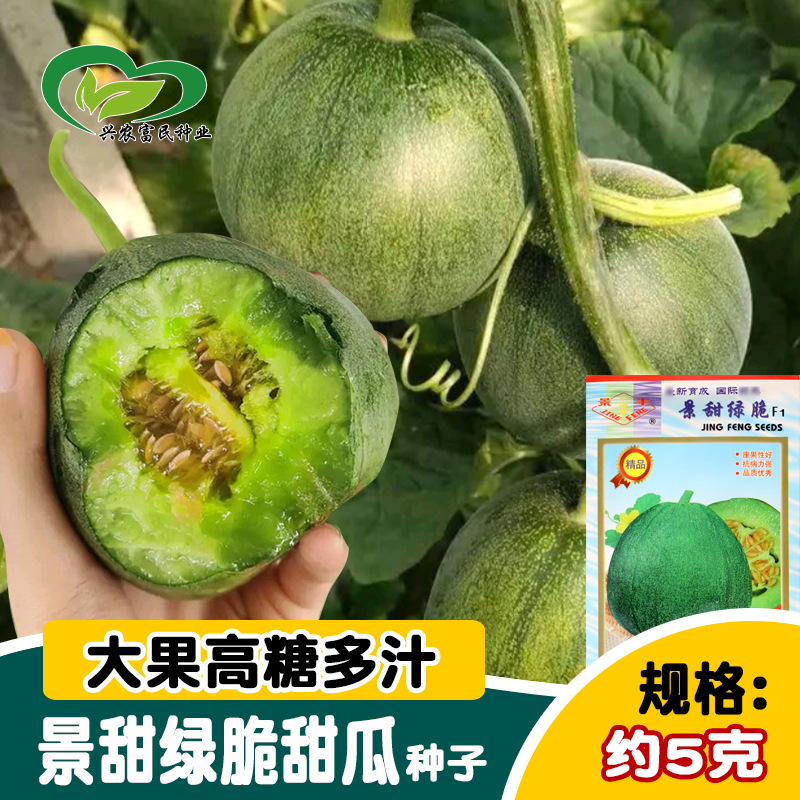 The Green Paper muskmelon seed Farmland Vegetable garden Crispy Refreshing fragrance muskmelon fruit Fruits and seeds