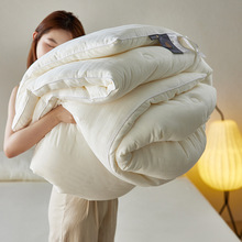 A�ȫ���A����Q�z���ױ�о�W�������ﶬ�Ӻ��ޱ����p���ļ���