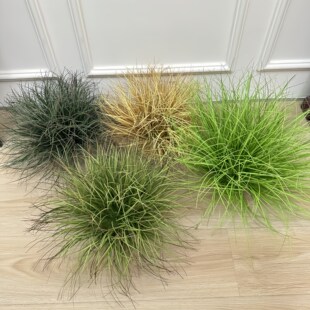 �����Ѳ��b[�����JȔ�ݼ��~�ݼٲ݅��zӰ���߲ݶ�ݶѾGֲ�쾰