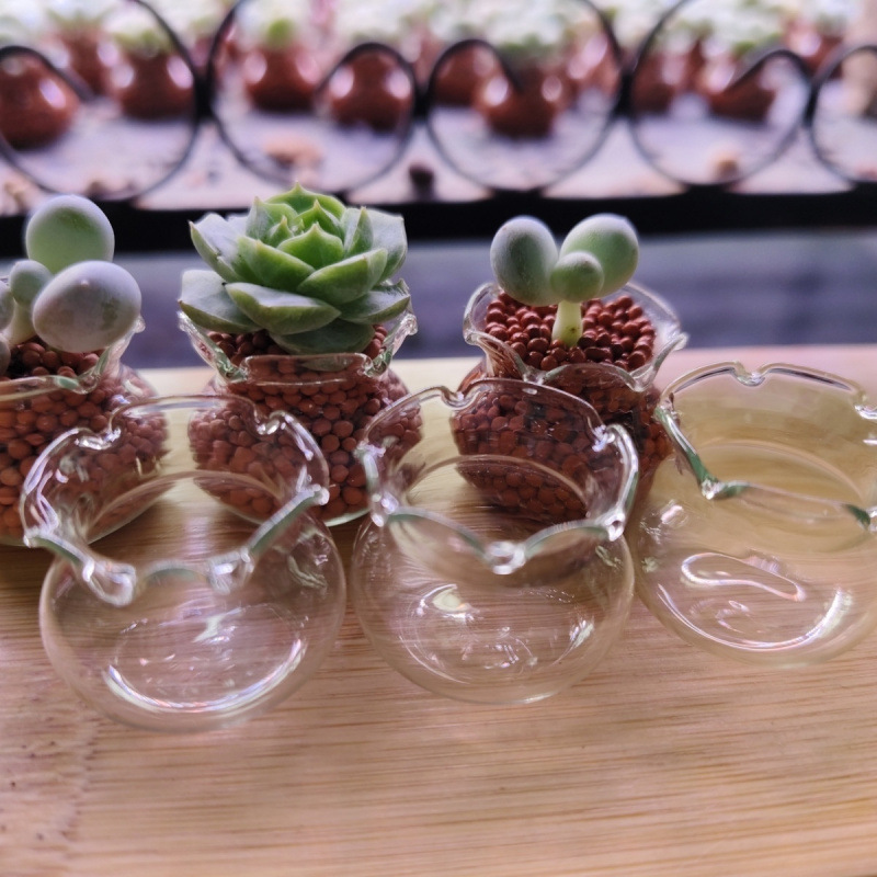 【多肉植木鉢ミニガラス】レース水槽親指鉢高颜値花園バルコニー超萌えかわいいフレッシュ|undefined