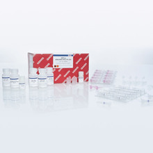 Qiagen 74204 RNA��ȡ�Լ��У�50T/��