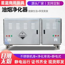 低空油烟净化器 厨房餐厅酒店用油烟净化设备 商用油烟净化器