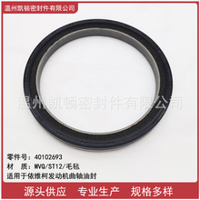 ֱN  mS°lәCSͷ  ̖40102693