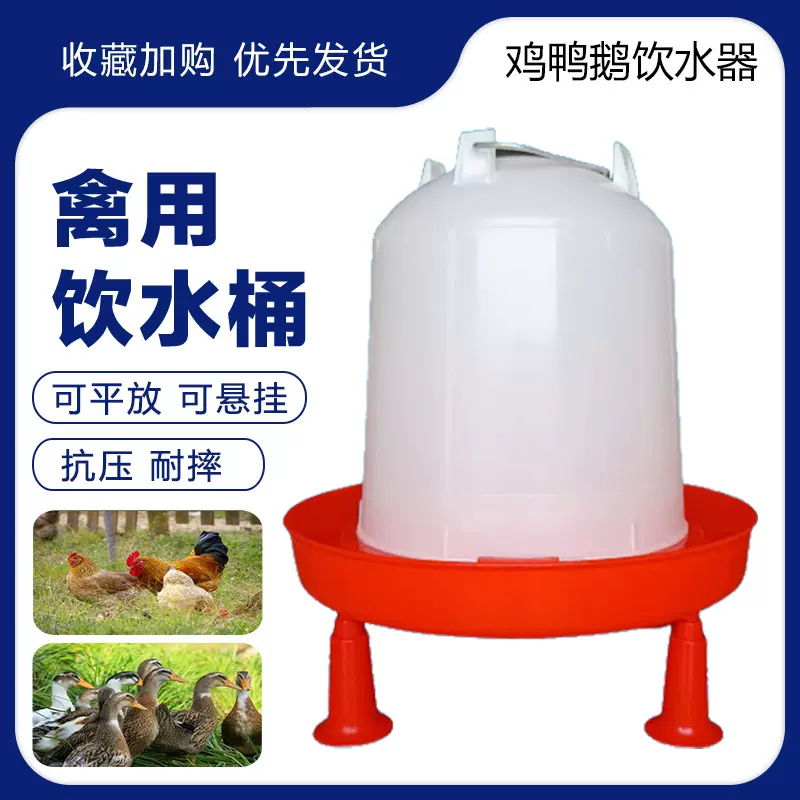 鸡用自动饮水器养鸡设备鸡鸭鹅自动喂水鸡水壶雏鸡饮水桶饮水器