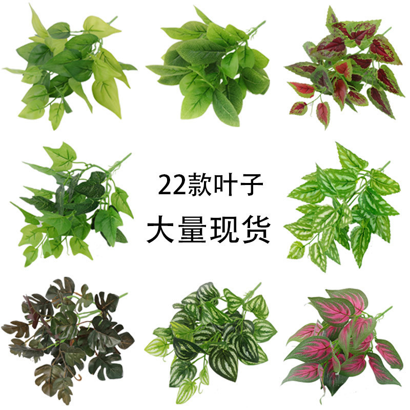 详情图