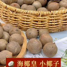 ���x��Ҭ��СҬ�� �Ҝ��ώ���СҬ���u�Ҝ����a ��؛���l�Fُ�羳