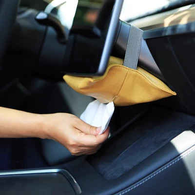 Box Creative Seat Strap — Car tissue box/set