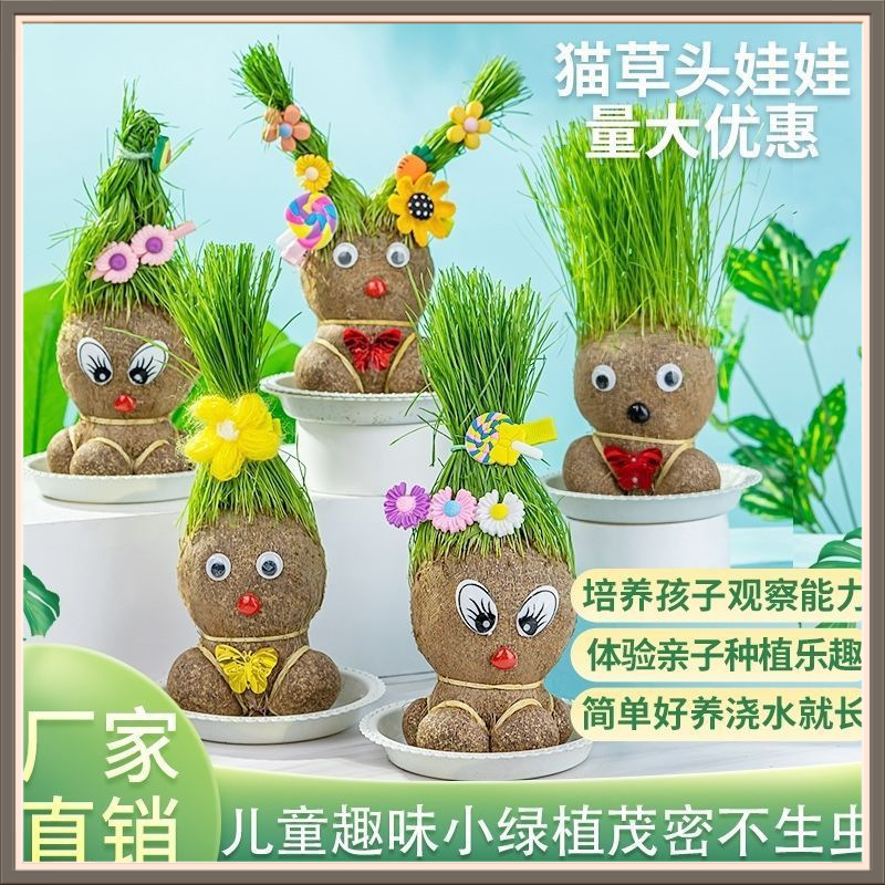 Long doll head doll creative small potted plant desktop cute plant fun doll office kids hydroponics