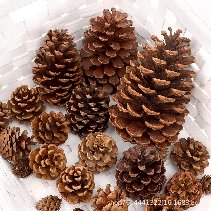 Сосновая шишка, декоративный материал, украшения своими руками, натуральная сосновая шишка, креативная ручная работа, сушеная сосновая шишка, искусственная рождественская елка