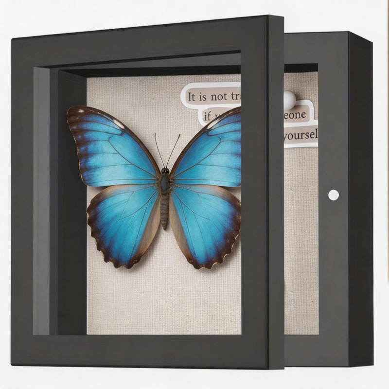 Shadow Box Magnetic Hollow Dried Flower Butterfly Specimen Frame Vintage Desktop Plant Display Box Magnetic Absorption Frame Shadow Box Magnetic Hollow Dried Flower Butterfly Specimen Frame Vintage Desktop Plant Display Box Magnetic Absorption Frame