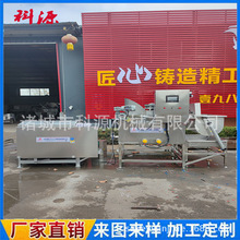 供应卧式家禽脱毛机 卧式小精脱 家禽烫毛脱毛一体设备 烫毛机