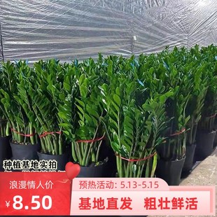 ���X��P��ֲ��u�X��lؔ�仨���҃ȱP���k��������[���ļ����B