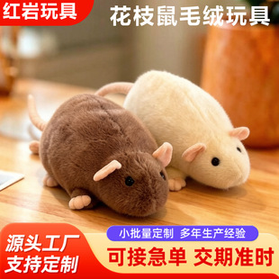 �W�t��֦��ë�q��߿�ͨ��̖���и�֐�����������ż�������նY��